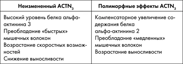 В зависимости от преобладания типа мышечных волокон при условии регулярности - фото 48