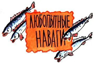 ЛЮБОПЫТНЫЕ НАВАГИ Говорят на суше любопытному нос прищемили А в море с - фото 15
