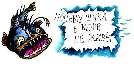 ПОЧЕМУ ЩУКА В МОРЕ НЕ ЖИВЕТ Говорят на то и щука в море чтобы карась не - фото 41