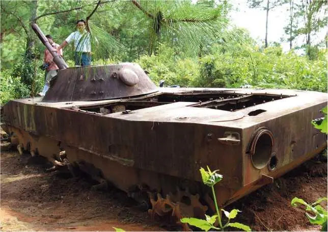 В разных районах мира можно встретить остовы подбитых увы танков ПТ76 - фото 188