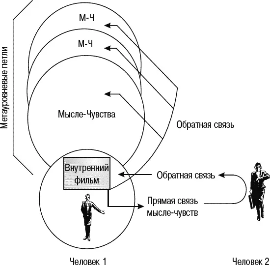 Рис 141 Множественные петли обратной связи 2 Мыслительные петли обратной - фото 83