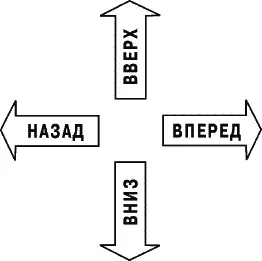 Рис 212 Направления сознания И когда вы будете комфортно расслабляться - фото 116
