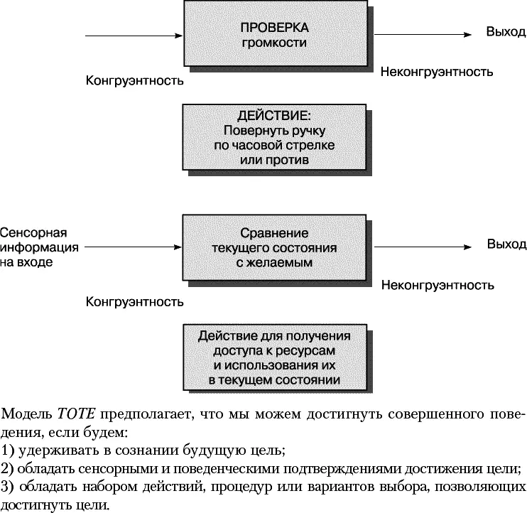 Рис 152Модель TOTE Дилтса Источник Dilts 1980 Дилтс и его коллеги - фото 34