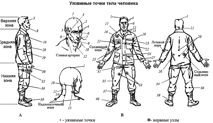 Рис 41Уязвимые точки тела человека 1 макушка 2 лоб 3 висок 4 - фото 101