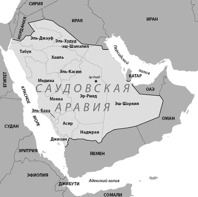 Провинции Восточная и Наджран очаги напряженности в Саудовской Аравии На - фото 5