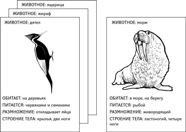 Шаблонов разумеется меньше чем понятий Шаблоны более абстрактны чем - фото 2