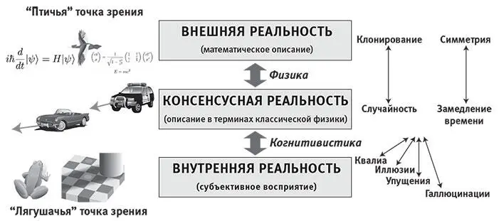 Рис 92Реальность можно рассматривать тремя взаимосвязанными способами глядя - фото 76