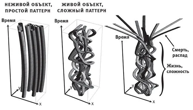 Рис 114Сложность отличительный признак жизни Движению объекта - фото 92