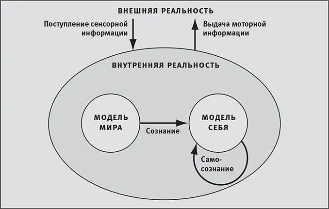 Рис 117Я думаю что сознание это способ каким информация ощущает то что - фото 95