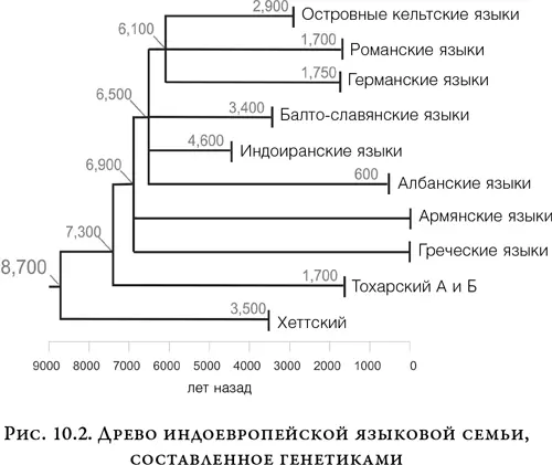Древо индоевропейской языковой семьи составлено Расселом Греем и Квентином - фото 13