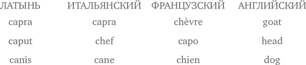 Когда звуковые соответствия между современными языками выявлены можно - фото 16