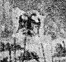 Рис 75 Фрагмент Античный двуглавый орел на знамени Взято из 1237 - фото 75