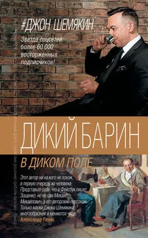 Джон Шемякин - Дикий барин в диком поле (сборник)