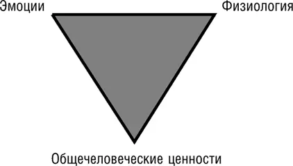 О том как правильно работать с эмоциональной стороной я подробно рассказываю - фото 47