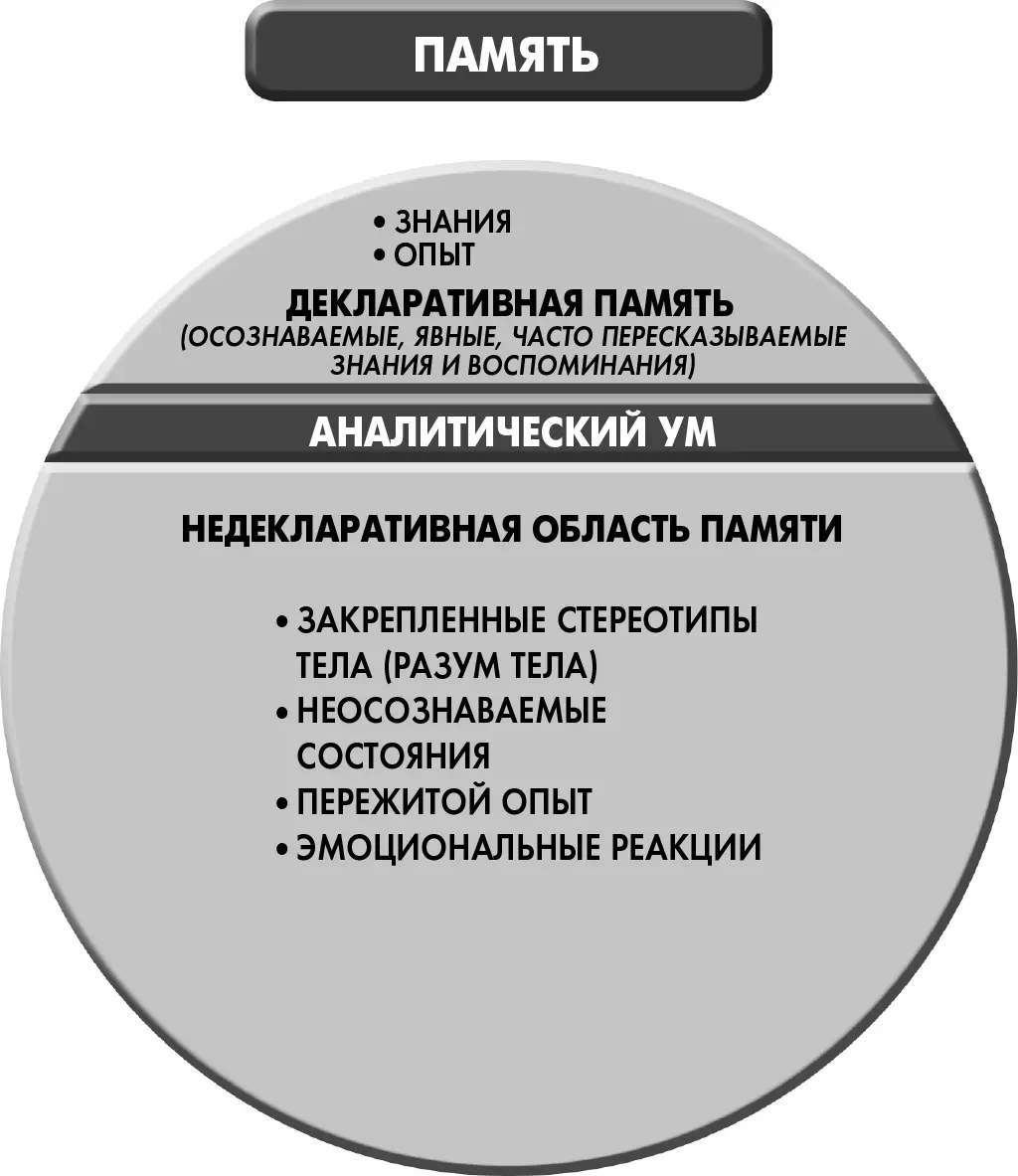 Рисунок 65 Память делят на две категории сфера декларативных явных - фото 20