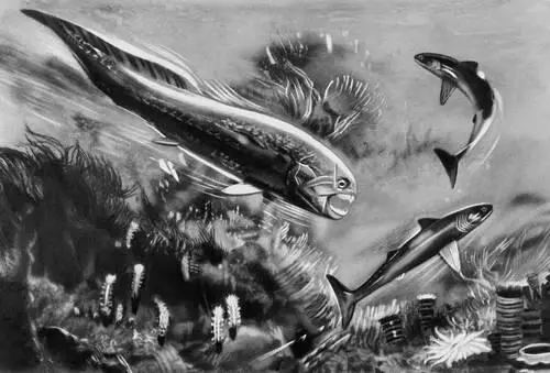 Представители морской фауны девона слева Dinichthys из артродир справа - фото 28