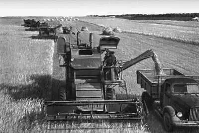 Татарская АССР Уборка пшеницы в колхозе Спартак Апастовского района - фото 391