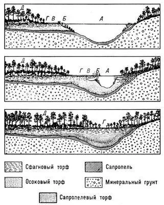 Рис 1 Стадии заболачивания водоёма А открытое водное пространство Б - фото 208