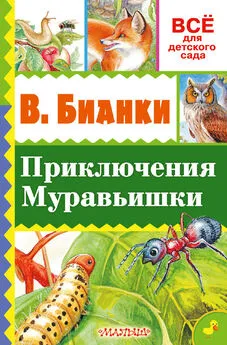 Виталий Бианки - Приключение Муравьишки (сборник)