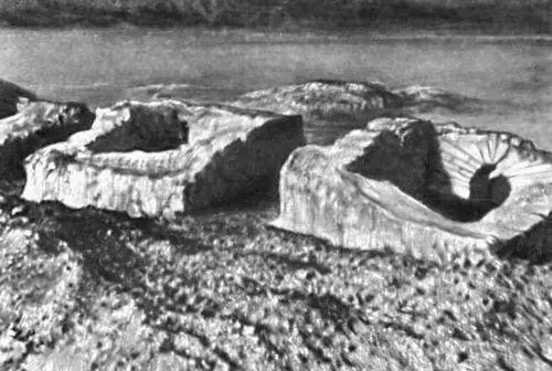 Наусы из Пенджикентского некрополя Наутилоидеи НаутилоидеиNautiloidea - фото 372