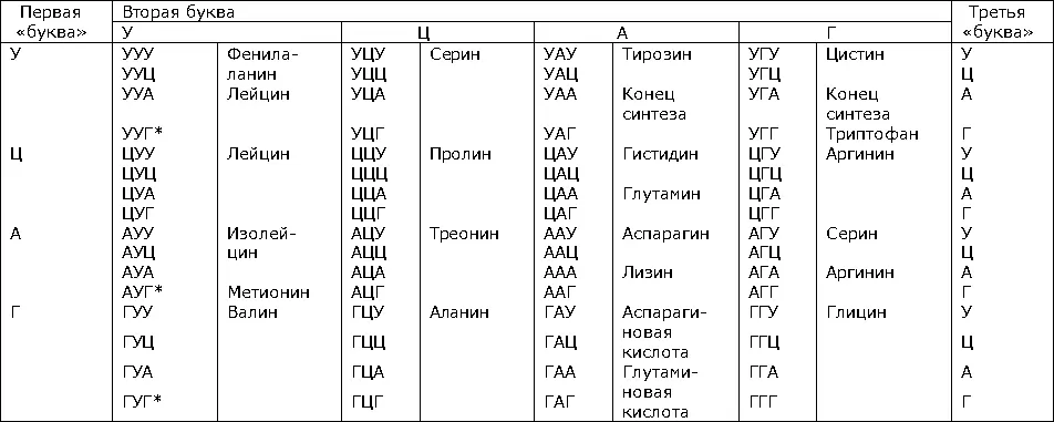 В начале цепи иРНК данный кодон определяет начало синтеза полипептидной цепи - фото 104
