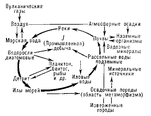 Рис 3 Круговорот иода Рис 2 Увеличение объёма породы в зоне выветривания - фото 178