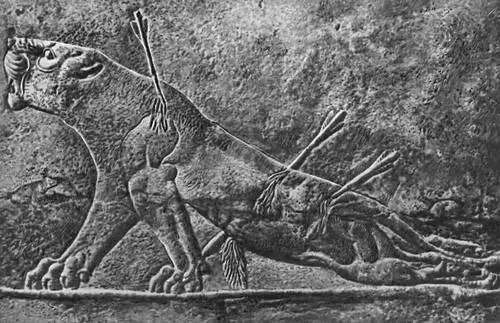 Умирающая львица Фрагмент рельефа из дворца царя Ашшурбанипала в Ниневии 669 - фото 17