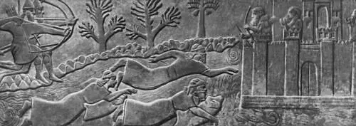 Военная сцена Рельеф из дворца царя Ашшурнасирпала II в Кальху 883859 до н - фото 20