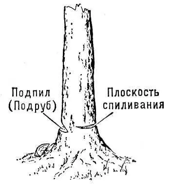 Рис 1 Валка дерева с подпилом ствола Рис 3 Бензиномоторная пила Урал 1 - фото 176