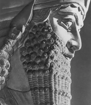 Статуя крылатого быка шеду из дворца Саргона II в ДурШаррукине фрагмент - фото 22