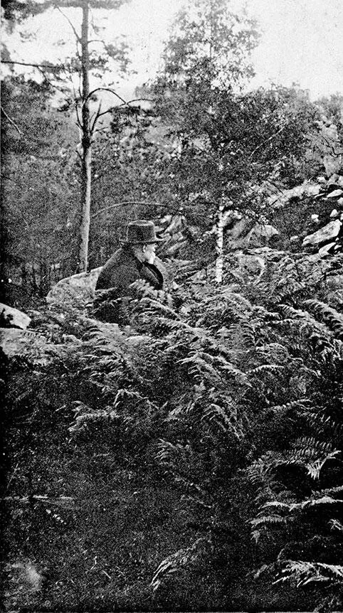 Сезанн в Фонтенбло 1905 Фотография Эмиля Бернара Если и не смерть то - фото 34