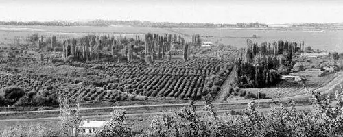 Андижанская область Ферганская долина Андижанское восстание 1898 - фото 118