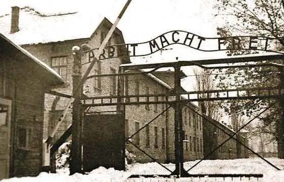 ОСВОБОЖДЕНИЕ ОСВЕНЦИМА 27 января 1945 года войска 1го Украинского фронта - фото 870