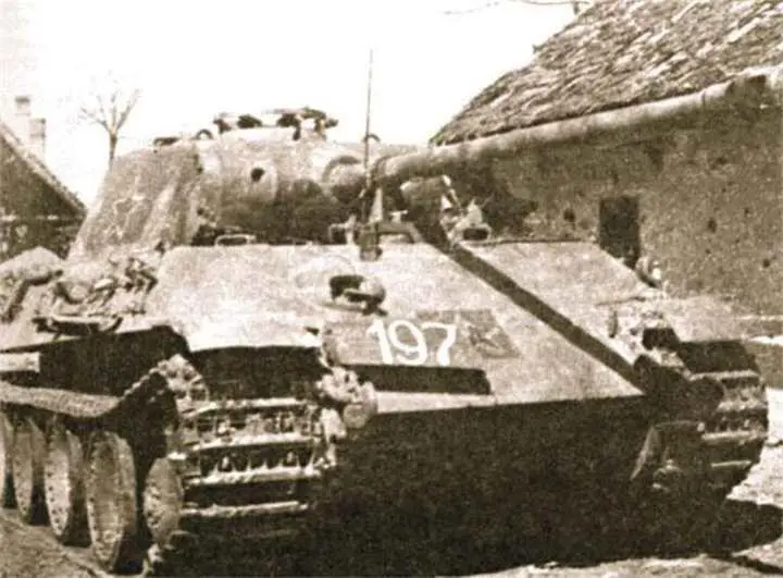 Трофейный немецкий танк PzKpfw V Пантера из состава 366го - фото 775
