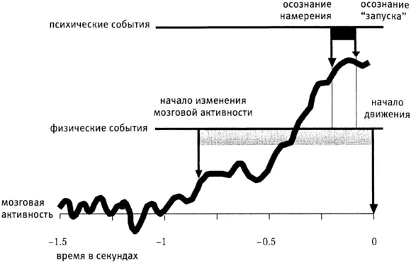 Рис 34Психические события определяющие наши движения происходят не - фото 23