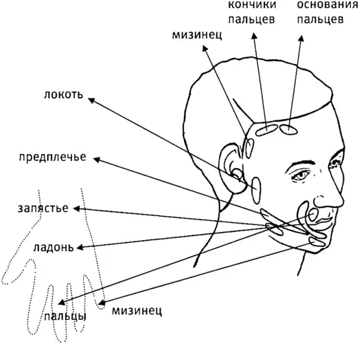 Рис 38Фантомная рука на лице После ампутации правой руки пациентка DM - фото 26