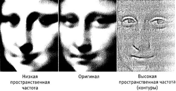 Рис 52Мы лучше всего распознаем объекты по их контурам Мы можем легко - фото 37