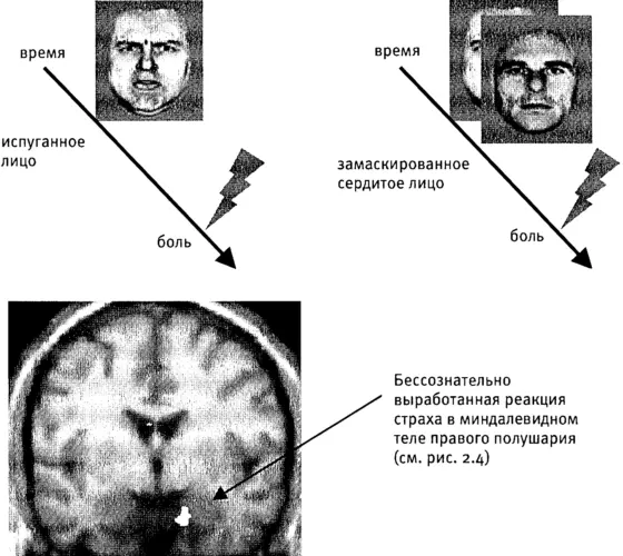 Рис 75Бессознательная выработка условного рефлекса связанного со страхом - фото 57