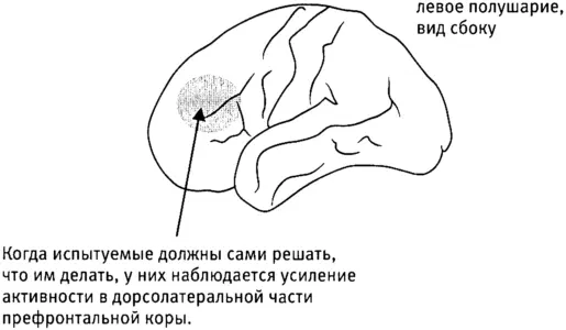 Рис э1Не здесь ли сосредоточена свобода воли Так значит здесь и - фото 61