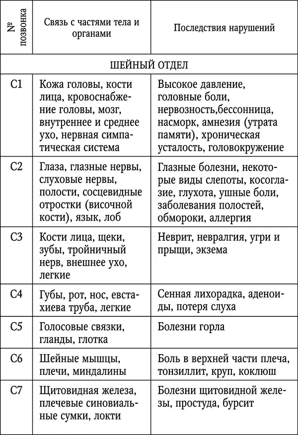 Латинскому обозначению букв соответствует С шейный отдел D грудной отдел - фото 1