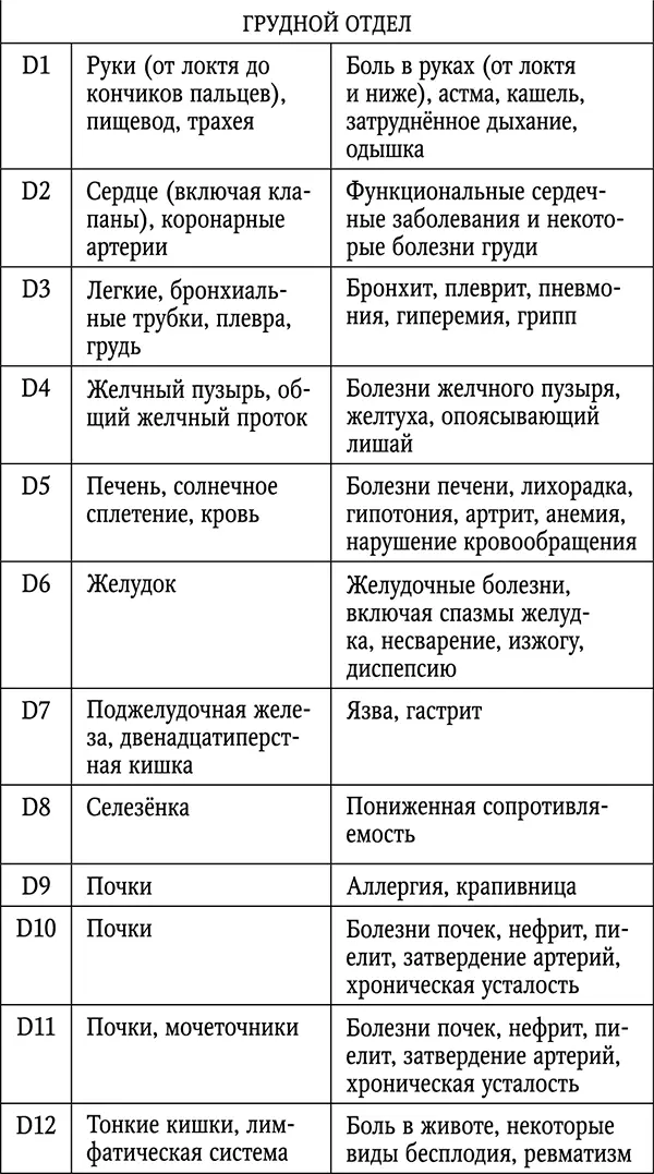 Латинскому обозначению букв соответствует С шейный отдел D грудной отдел - фото 2