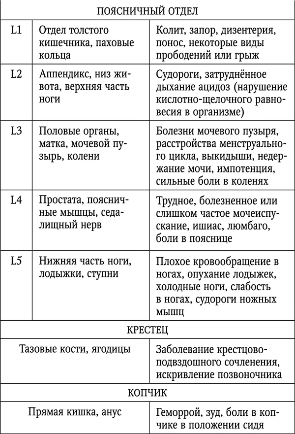 Латинскому обозначению букв соответствует С шейный отдел D грудной отдел - фото 3