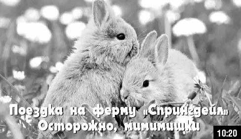 Как стать звездой YouTube ЛюсиЛюкс Сетевая катастрофа - изображение 48