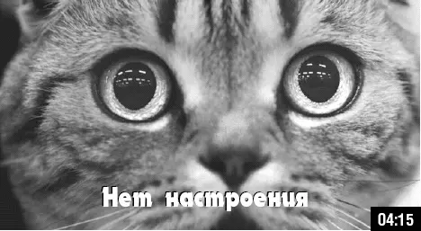 Как стать звездой YouTube ЛюсиЛюкс Сетевая катастрофа - изображение 61