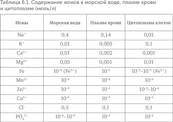 Другой особенностью ионного состава клеток оказывается высокая концентрация - фото 41