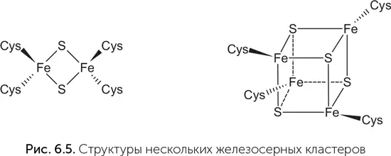 Цинковый мир Другой сценарий абиогенного синтеза органики на геотермальных - фото 44