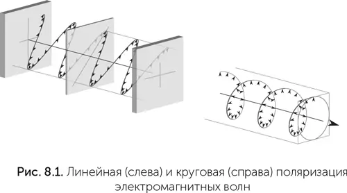 При прохождении линейно поляризованного света через раствор одного оптического - фото 59