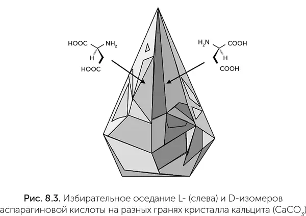 В некоторых условиях можно получить хирально чистые аминокислоты из смеси - фото 61