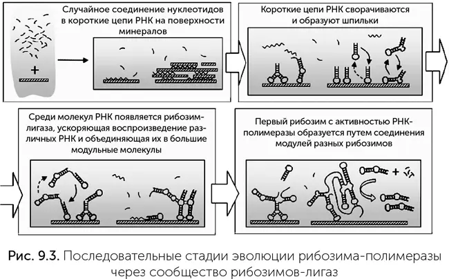 Такой сценарий решает часть проблем которые были в сценарии случайного - фото 67
