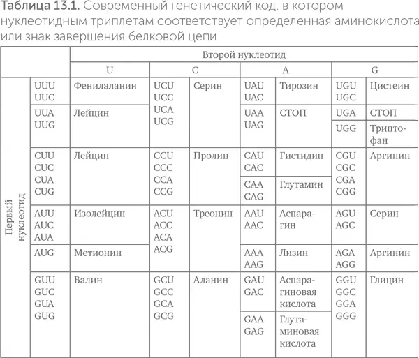 Существуют четыре основные идеи происхождения связи между аминокислотами и - фото 106